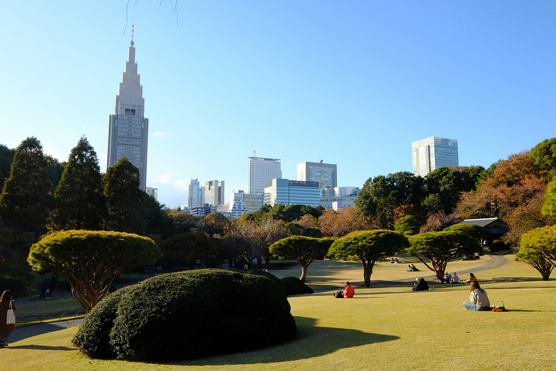 【東京】新宿御苑：櫻花＆楓葉大爆炸，門票美食交通＆附近景點一