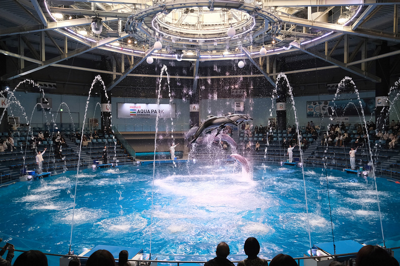 【東京】品川水族館Maxell Aqua Park：海豚秀超