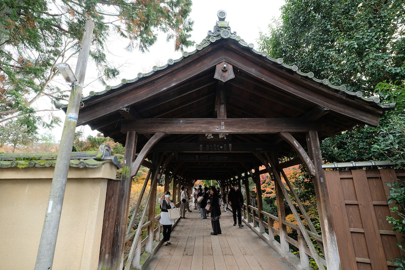 【京都賞楓景點】東福寺：楓葉之王美譽！通天橋紅葉火海般超吸睛