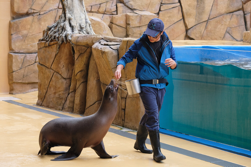 【桃園Xpark水族館】2024最新必看亮點、門票優惠、玩樂