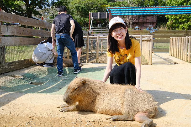 【沖繩】名護自然動植物公園：零距離接觸動物！鐵道火車和飛禽表