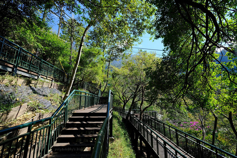 【台中】谷關景點一日遊：溫泉公園、明治老街、吊橋步道＆美食交