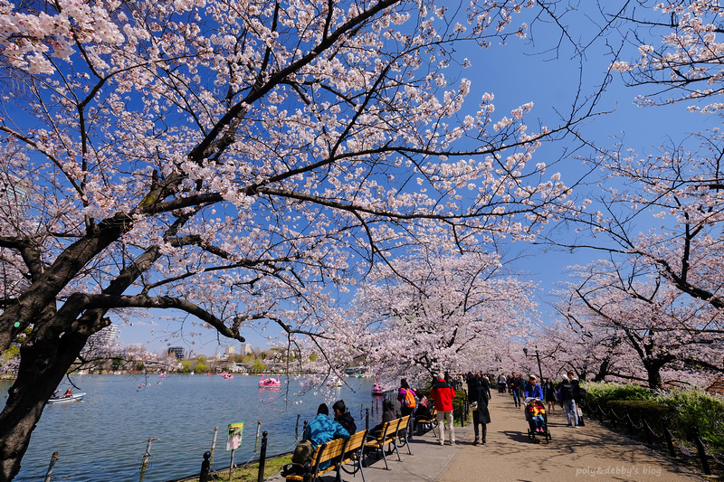 上野景點