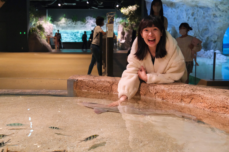 【沖繩】DMM Kariyushi水族館：餵食必看重點＆門票