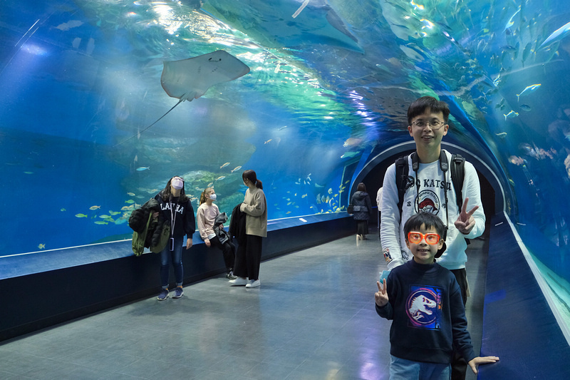 【東京】品川水族館Maxell Aqua Park：海豚秀超