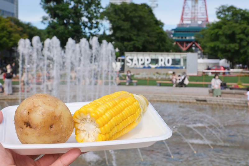 【札幌】大通公園：都市綠洲超熱鬧！必去雪祭啤酒節＆烤玉米好好