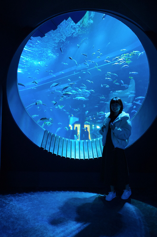 【沖繩】DMM Kariyushi水族館：餵食必看重點＆門票