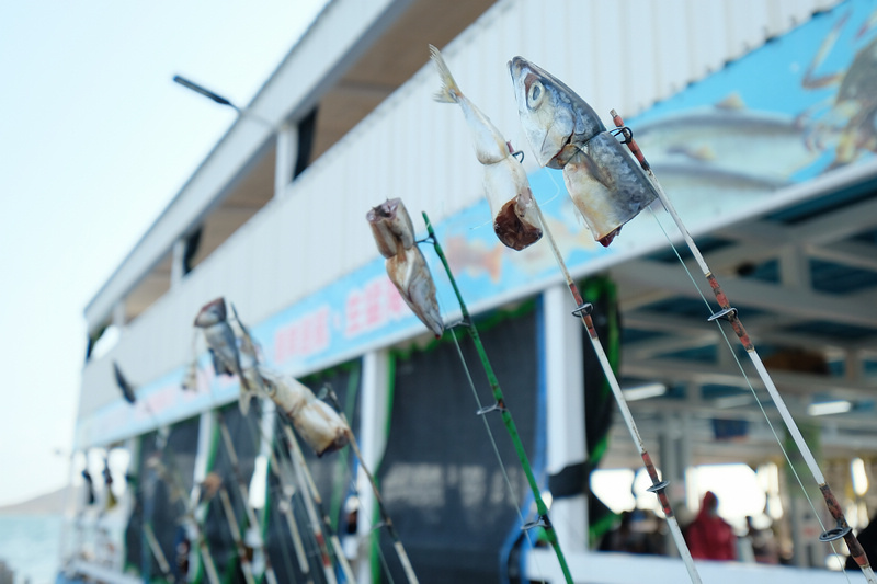 【澎湖】海上皇宮海洋牧場：鮮蚵吃到飽＆釣魚吃海鮮粥，門票優惠