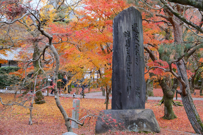 【京都賞楓景點】東福寺：楓葉之王美譽！通天橋紅葉火海般超吸睛