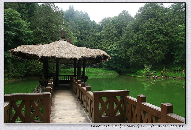 ［竹崎鄉］：看神木千變萬化☆阿里山國家森林