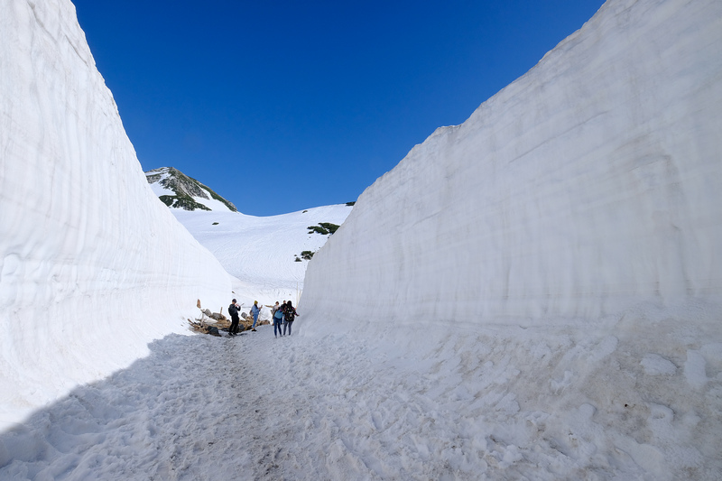 【立山黑部自由行】2024黑部立山雪牆一日遊！開山時間＆交通