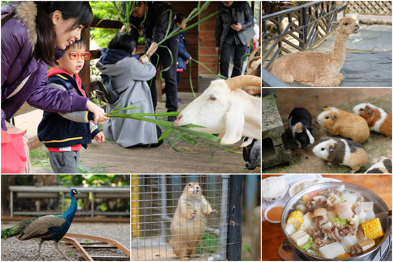 【桃園中壢】羊世界牧場＆勇伯台灣羊餐廳：門票便宜動物多，高CP值推薦