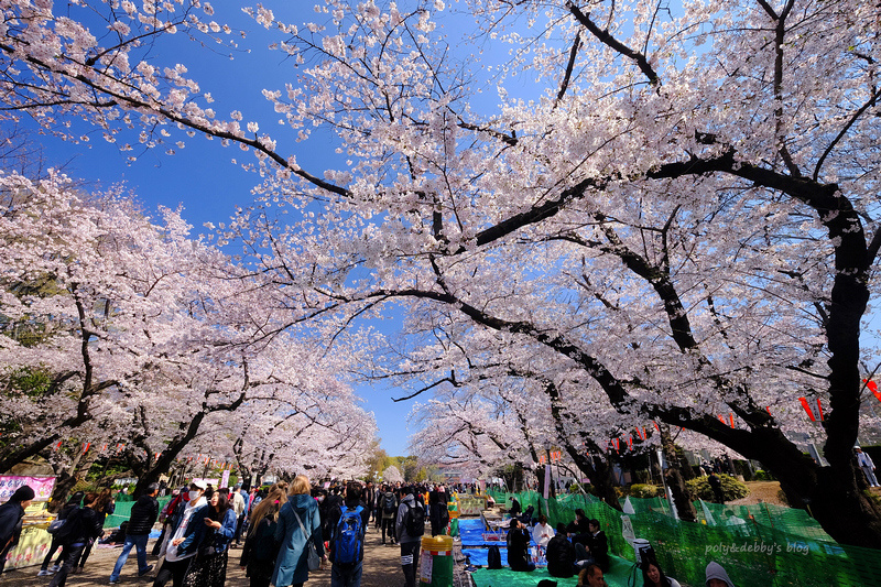 【東京上野公園】上野恩賜公園地圖攻略！櫻花楓葉＆交通美食必去