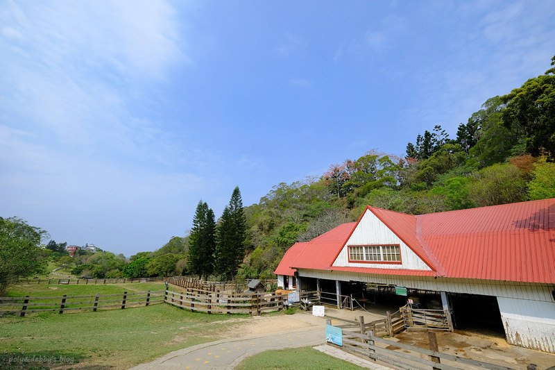 【苗栗通霄】飛牛牧場：擠奶餵羊趣！門票優惠、住宿餐廳親子一日