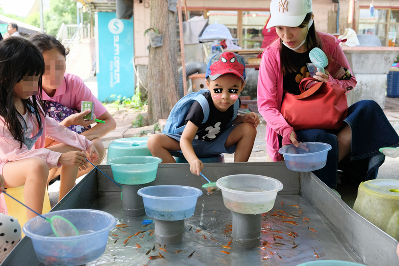 【宜蘭】宜農牧場：門票漲到150元！餵小動物、擠羊奶，親子一