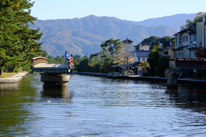 【天橋立一日遊行程】2024京都天橋立景點推薦！傘松公園、纜