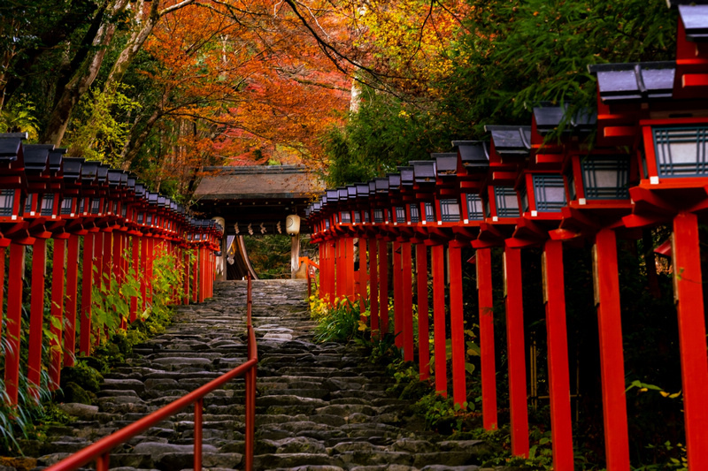 【京都】貴船神社：冬天白雪超美！秋天楓葉、點燈時間必去 (含