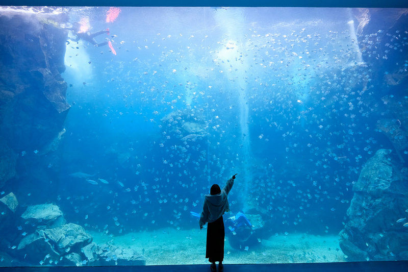 【桃園Xpark水族館】2024最新必看亮點、門票優惠、玩樂