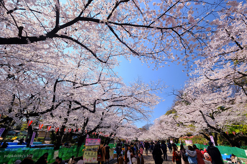 上野景點