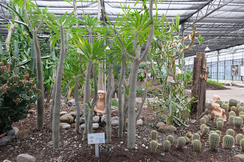 【宜蘭】金車礁溪蘭花園：不只能賞花！和水豚、狐獴、貓咪親密接