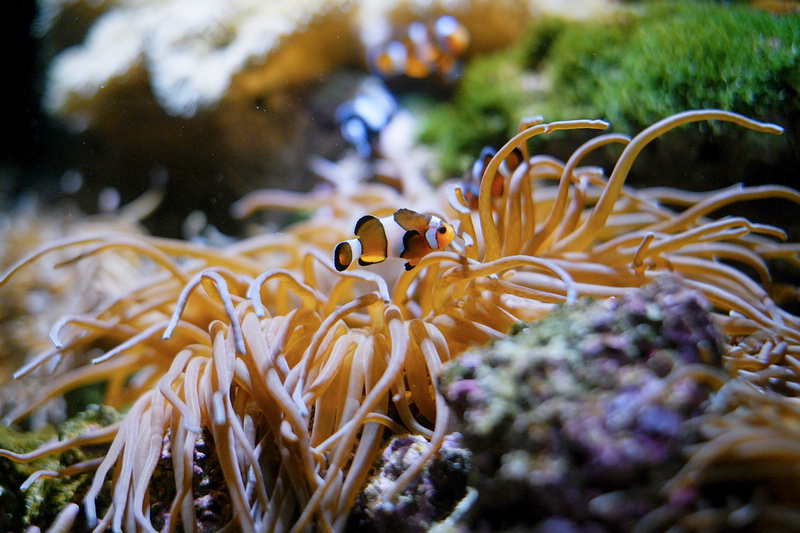 【桃園Xpark水族館】2024最新必看亮點、門票優惠、玩樂