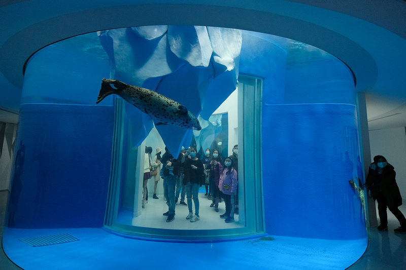 【桃園Xpark水族館】2024最新必看亮點、門票優惠、玩樂