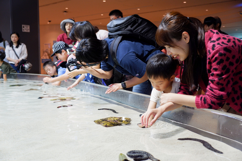 【沖繩】美麗海水族館最強攻略：必看表演、美食必買、門票交通大