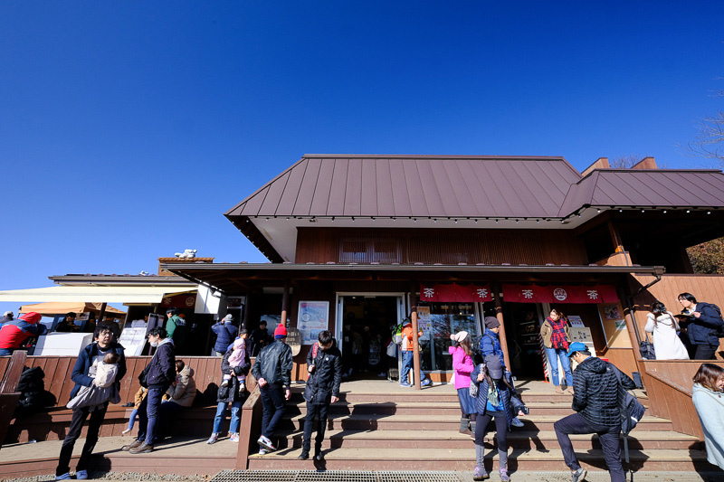 【天上山公園】必搭河口湖纜車！制高點眺望富士山全景＆超酷景觀