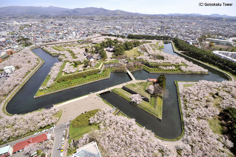 【函館】五稜郭公園＆五稜郭塔：櫻花雪景四季皆美！美食＆門票優