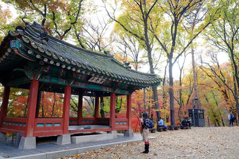 【韓國首爾】昌德宮秘苑預約＆門票韓服，紅葉漫天皇族後花園爆炸