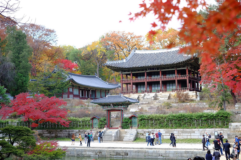 【韓國首爾】昌德宮秘苑預約＆門票韓服，紅葉漫天皇族後花園爆炸