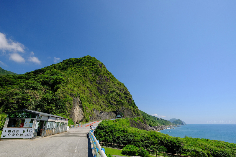 【花蓮豐濱】親不知子天空步道(斷崖海上古道)：峭壁看海景！門