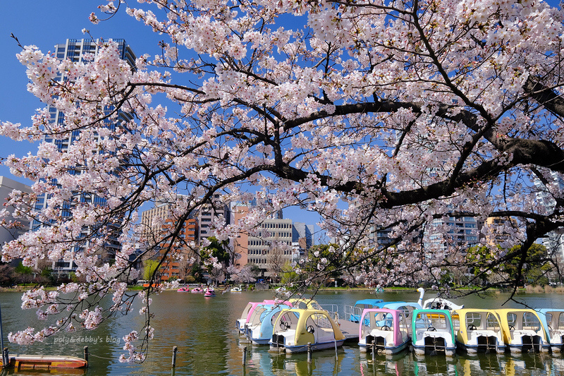 【東京上野公園】上野恩賜公園地圖攻略！櫻花楓葉＆交通美食必去