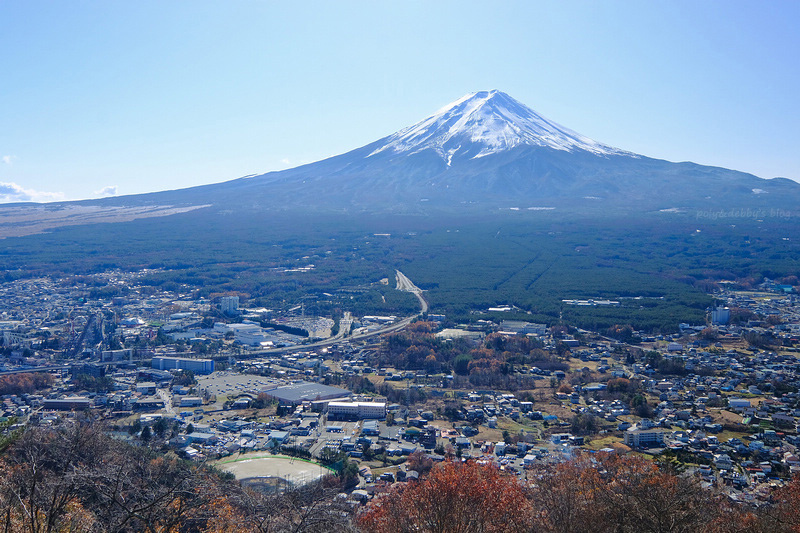 【天上山公園】必搭河口湖纜車！制高點眺望富士山全景＆超酷景觀