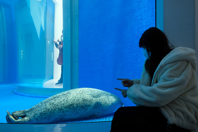 【桃園Xpark水族館】2024最新必看亮點、門票優惠、玩樂