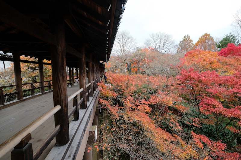 【京都賞楓景點】東福寺：楓葉之王美譽！通天橋紅葉火海般超吸睛