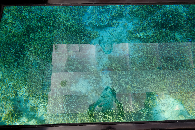 【沖繩】部瀨名海中公園：海中展望塔＆玻璃船門票優惠，暢遊海中