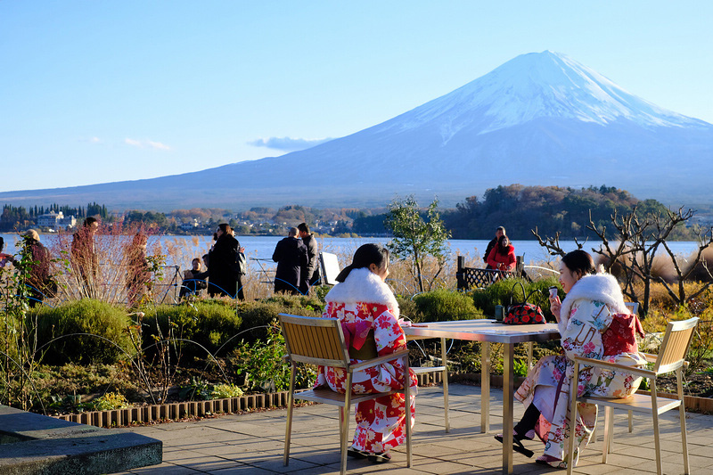 【河口湖】大石公園：巨無霸富士山視野美翻天！薰衣草、波波草花