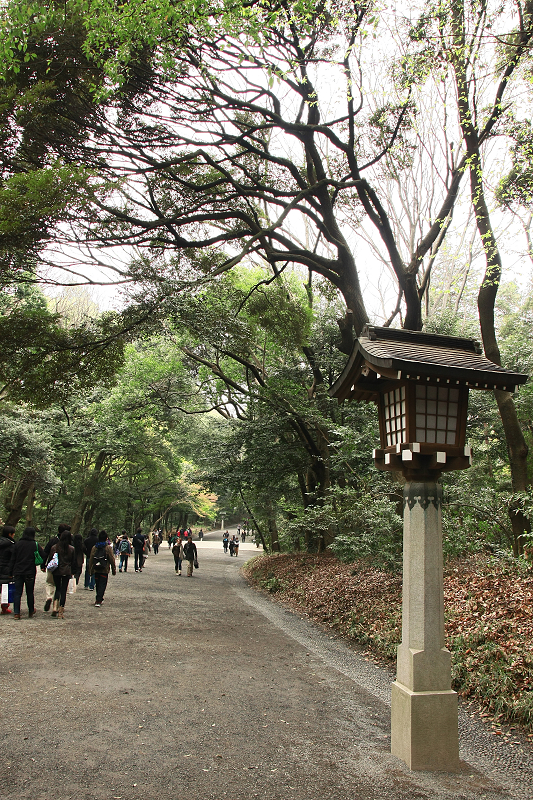 【東京】明治神宮：鳥居御守景點地圖、交通美食＆附近景點一日遊