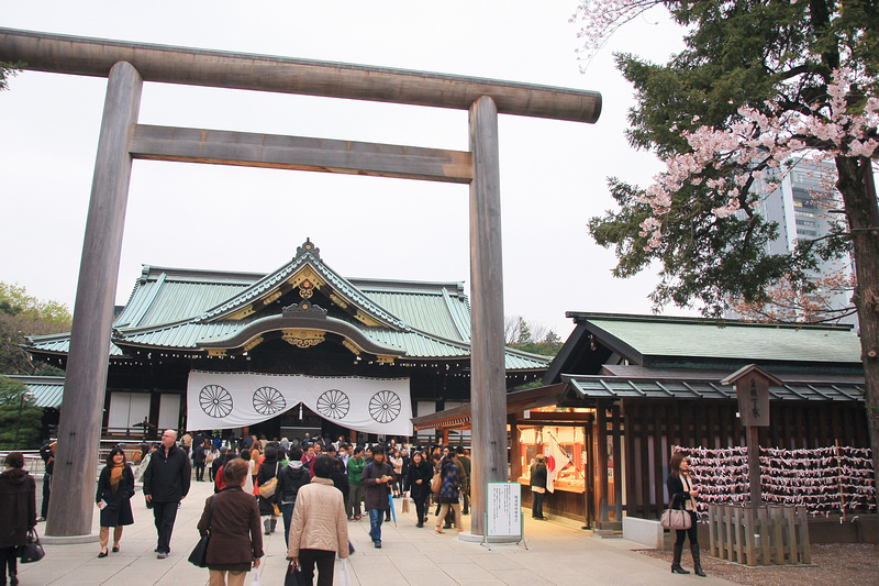 【東京】靖國神社：櫻花標準木在此！賞櫻花況指南樹，參拜爭議之