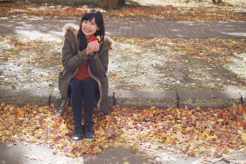 【札幌】北海道大學：銀杏大道美翻天！景點食堂、停車交通地圖全