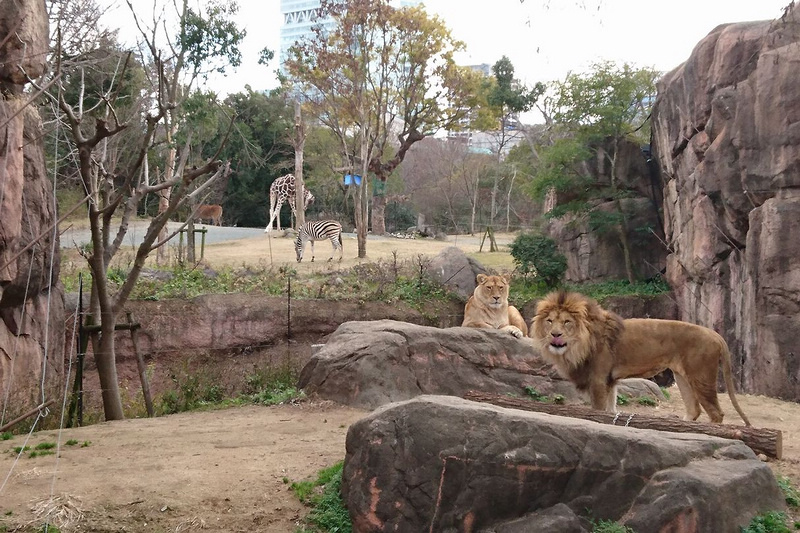 天王寺動物園