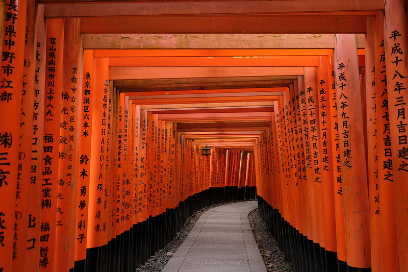 【京都】伏見稻荷大社：千本鳥居必看！狐狸御守、門票交通＆附近