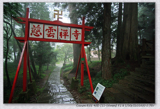 ［竹崎鄉］：看神木千變萬化☆阿里山國家森林