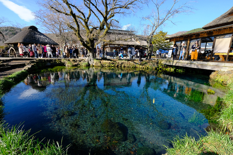 【河口湖】忍野八海：必去富士山湧泉群！日本名水百選交通美食彙