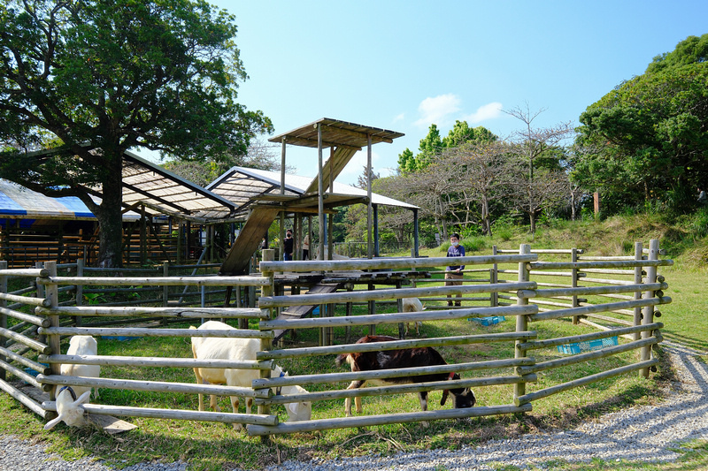 【沖繩】名護自然動植物公園：零距離接觸動物！鐵道火車和飛禽表