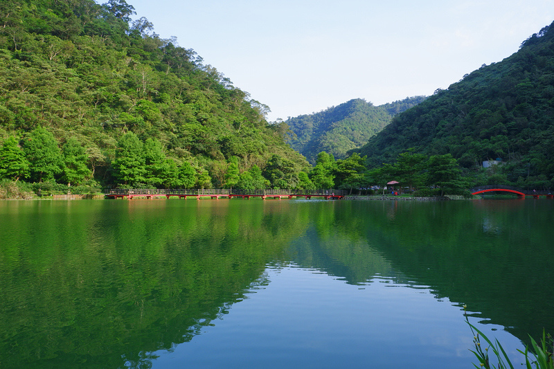 【宜蘭員山】望龍埤花田村：經典偶像劇場景！美食門票＆附近景點