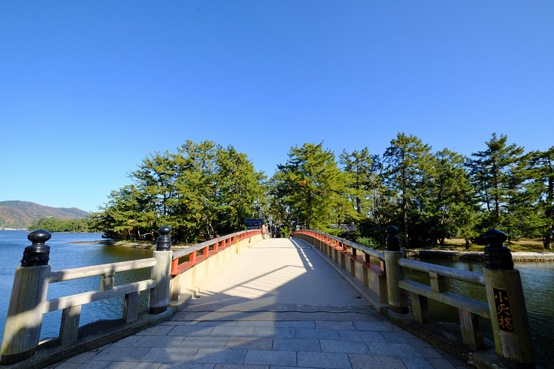 【天橋立一日遊行程】2024京都天橋立景點推薦！傘松公園、纜