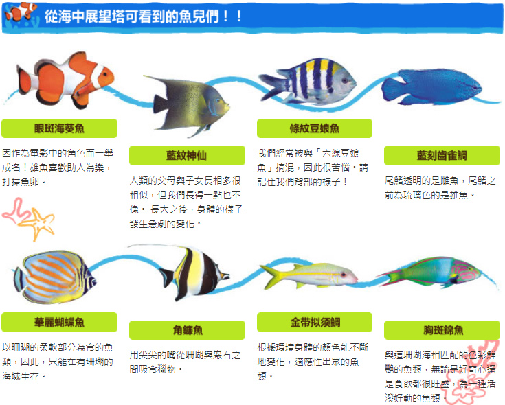 海中展望塔魚