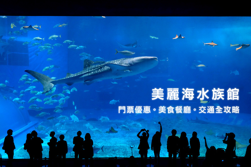 【沖繩】美麗海水族館攻略：黑潮之海鯨鯊美翻天！必看表演＆門票交通彙整